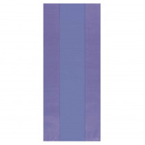 Amscan 9.5 in. x 4 in. New Purple Cellophane Party Bags (25-Count, 12-Pack)