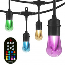 Enbrighten 24-bulb 48 ft. Vintage Seasons Integrated LED Color Changing Cafe String Lights, Black