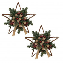 S/2 24 in. L Twig Holiday Stars