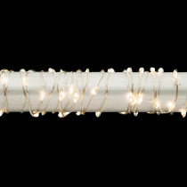 Gerson 60 in. 30-Light LED Warm White String Lights