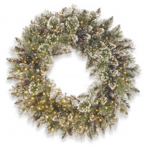 National Tree Company 24 in. Glittery Bristle Pine Wreath with Infinity Lights