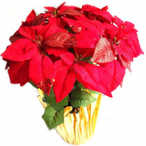 Home Accents Holiday 21 in. Red Unlit Glittered Poinsettia Arrangement