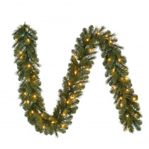 Home Accents Holiday 9 ft. Pre-Lit LED Artificial  Wesley Spruce Christmas Garland with 170 Tips and 60 Warm White Lights