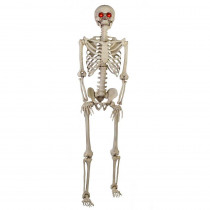 Home Accents Holiday 5 ft. Poseable Skeleton with LED Illumination