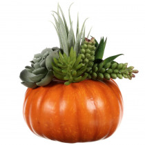 Home Accents Holiday 8 in. Harvest Pumpkin Succulent Planter
