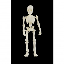 Home Accents Holiday 7 in. Mini Skeleton with Poseable Hands and Legs