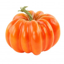 4.5 in. H x 6.5 in. W Harvest Traditional in Orange Pumpkin