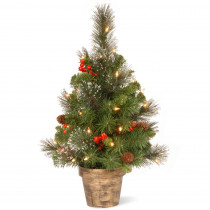 National Tree Company 24 in. Crestwood Spruce Tree with Clear Lights