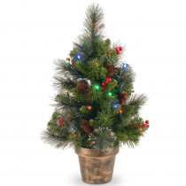 National Tree Company 24 in. Crestwood Spruce Tree with Battery Operated Multicolor LED Lights