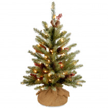 National Tree Company 24 in. Dunhill Fir Tree with Battery Operated Warm White LED Lights