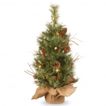 National Tree Company 24 in. Glistening Pine Tree with Battery Operated Warm White LED Lights