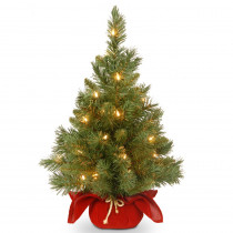 National Tree Company 24 in. Majestic Fir Tree with Battery Operated Warm White LED Lights