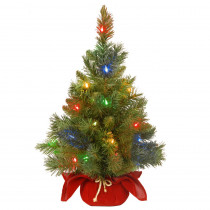 National Tree Company 24 in. Majestic Fir Tree with Battery Operated Multicolor LED Lights