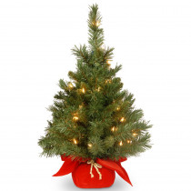 National Tree Company 24 in. Majestic Fir Tree with Clear Lights