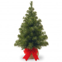National Tree Company 24 in. Noble Spruce Tree