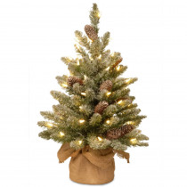 National Tree Company 24 in. Snowy Concolor Fir Tree with Battery Operated LED Lights