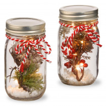 National Tree Company Holiday Accent Mason Jar Set with Lights