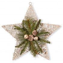 National Tree Company 18 in. Holiday Star Decoration
