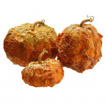 National Tree Company 8 in., 6 in. and 5 in. H Pumpkin Decor (Set of 3)