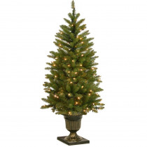 National Tree Company 4 ft. Dunhill Fir Entrance Artificial Christmas Tree with Clear Lights