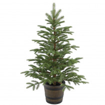 National Tree Company 4 ft. Norwegian Spruce Entrance Artificial Christmas Tree