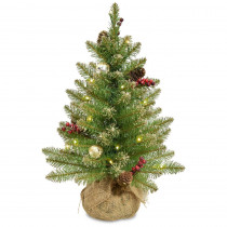 National Tree Company 2 ft. Glittery Gold Dunhill Fir Artificial Christmas Tree with Battery Operated LED Lights