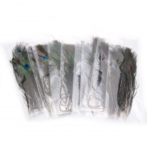 1 in. H Multi-Colored Beautiful Decoration Peacock Feathers (100-Piece)