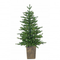 STERLING 4 ft. Pre-Lit Potted LED Artificial Christmas Akron Pine Tree with Micro Lights