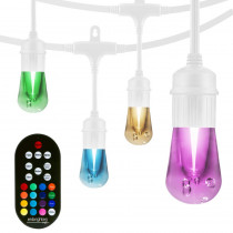 Enbrighten 12-Bulb 24 ft. Vintage Seasons Integrated LED Color Changing Cafe String Lights, White