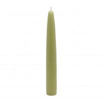 Zest Candle 6 in. Sage Green Taper Candles (Set of 12)