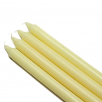 Zest Candle 10 in. Ivory Straight Taper Candles (12-Set)