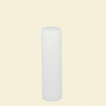 Zest Candle 2 in. x 6 in. White Pillar Candle Bulk (24-Case)