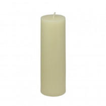 Zest Candle 3 in. x 9 in. Ivory Pillar Candles (12-Box)