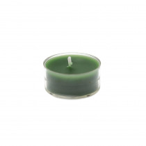 Zest Candle 1.5 in. Hunter Green Tealight Candles (50-Pack)